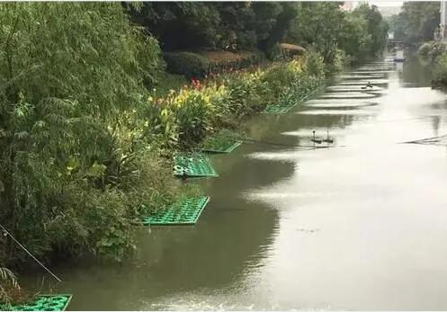 河道生態恢復